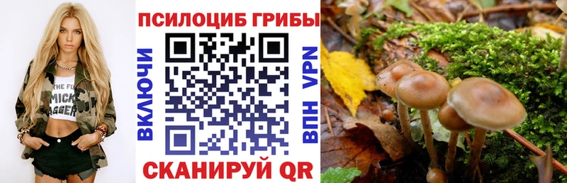 купить закладку  Сергач  Галлюциногенные грибы ЛСД 